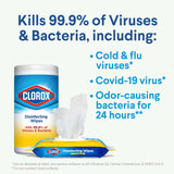 Clorox Disinfecting Wipes Value Pack - Ruhaa Store