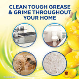 Lysol Multi-Surface Cleaner, Sanitizing and Disinfecting 90OZ - Ruhaa Store
